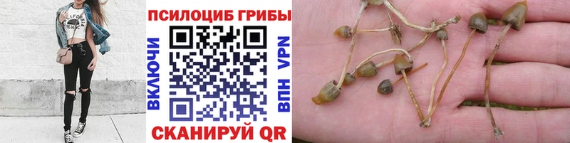сайты даркнета официальный сайт  хочу наркоту  Юхнов  Галлюциногенные грибы прущие грибы 